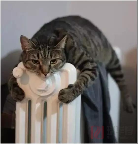 15436245061188.jpg 12.jpg